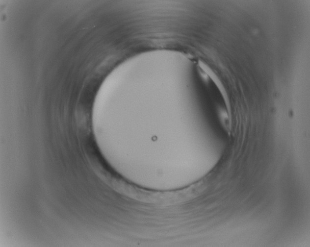 X0000075890031200610151802