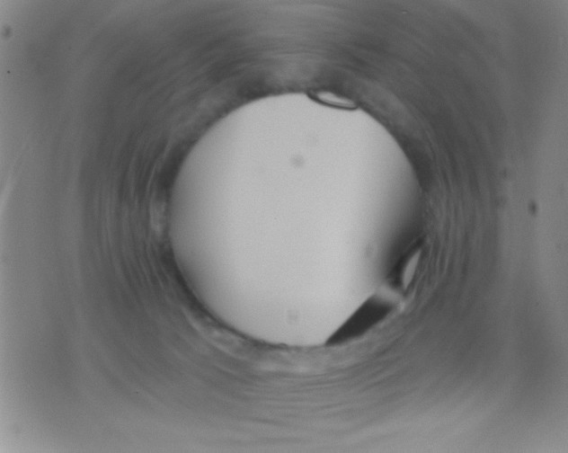 X0000075890033200610151802