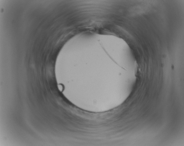 X0000075890035200610151802