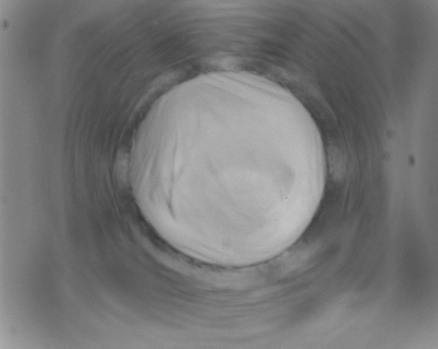 X0000075890036200610151802