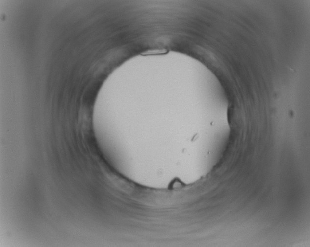 X0000075890037200610151802