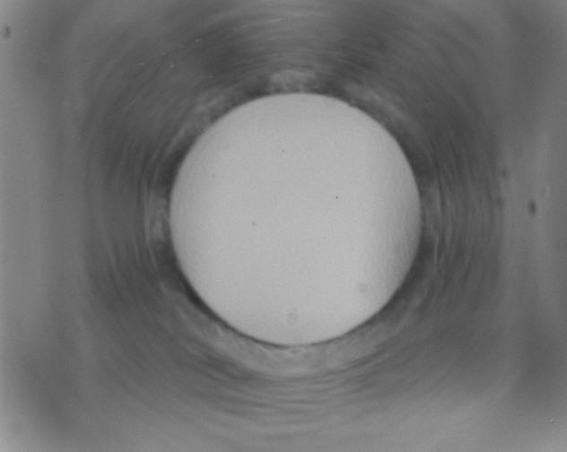 X0000075890038200610151802