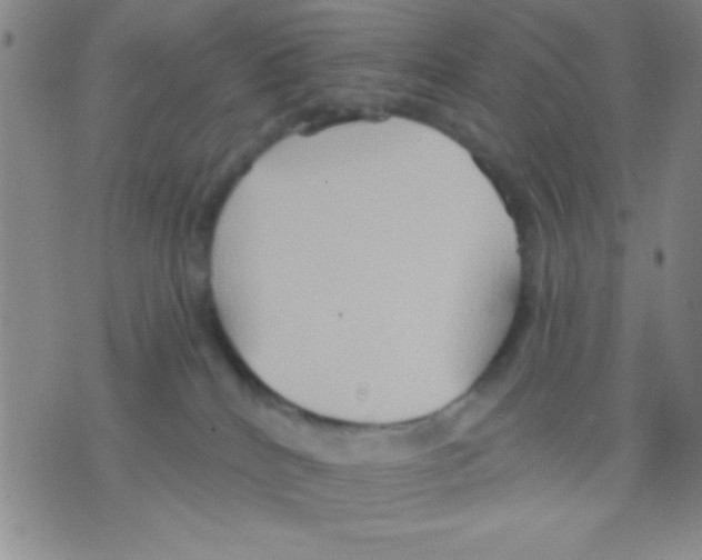 X0000075890040200610151802