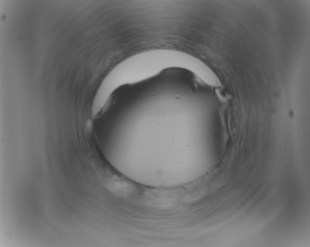 X0000075890041200610151802