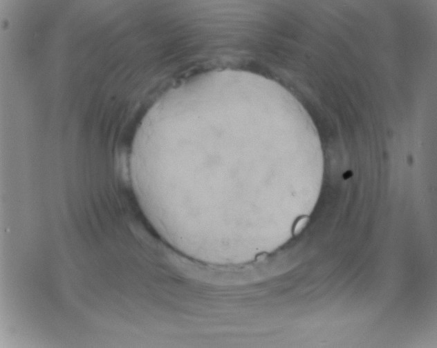 X0000075890042200610151802