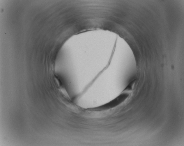 X0000075890045200610151802