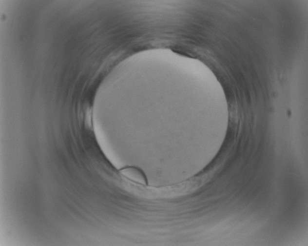 X0000075890046200610151802