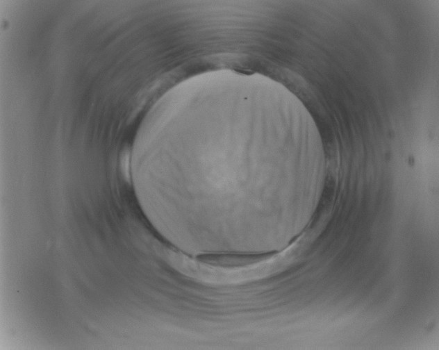 X0000075890047200610151802