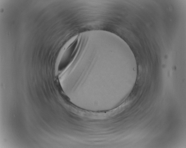 X0000075890048200610151802