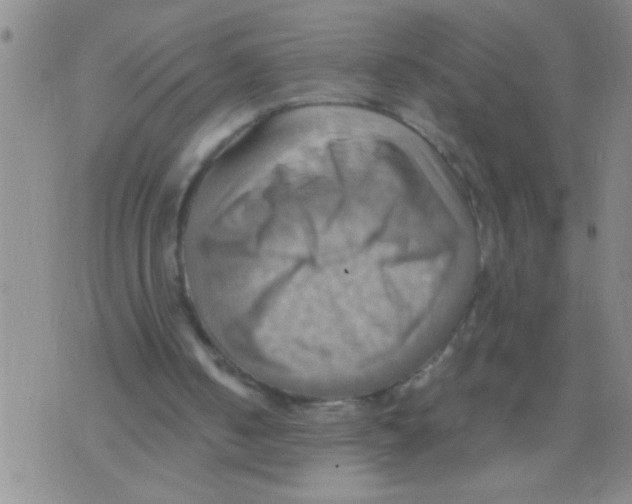 X0000075890050200610151801