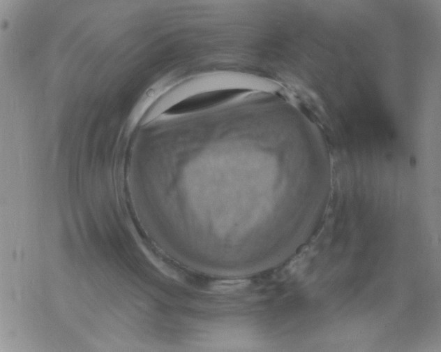 X0000075890051200610151801