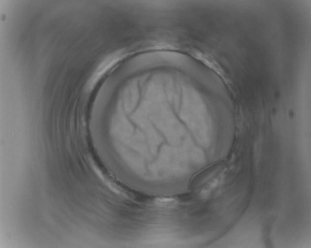 X0000075890055200610151801