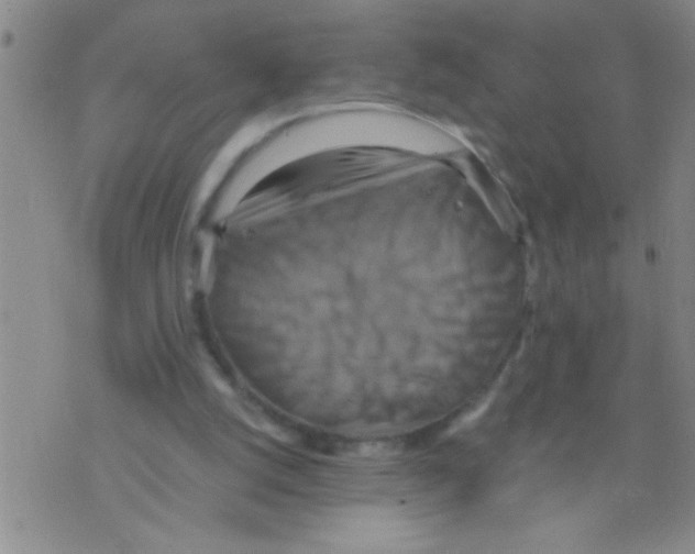 X0000075890056200610151801