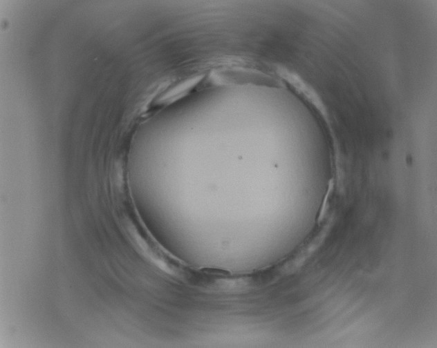 X0000075890057200610151801