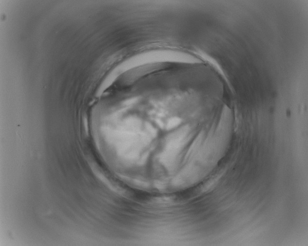 X0000075890061200610151801