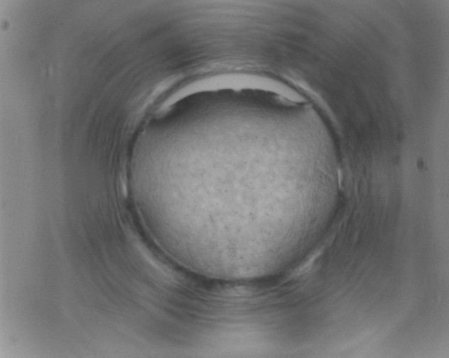 X0000075890062200610151801