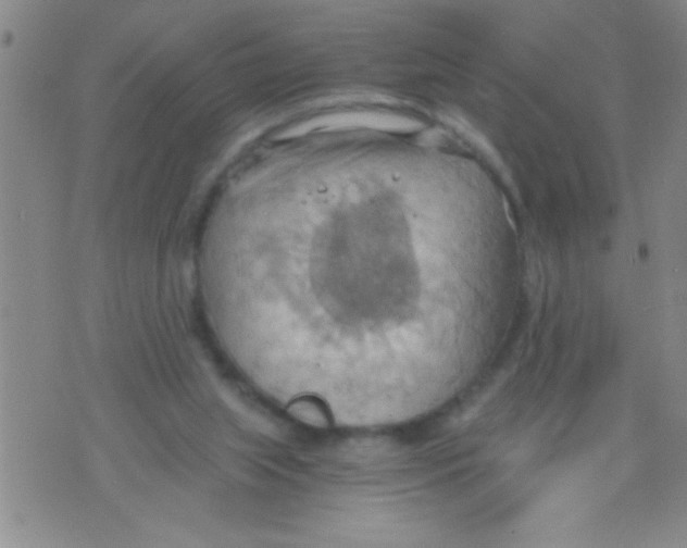 X0000075890063200610151801