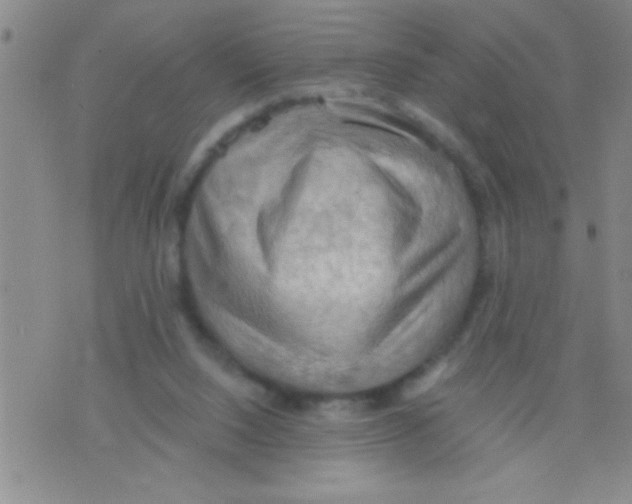 X0000075890064200610151801