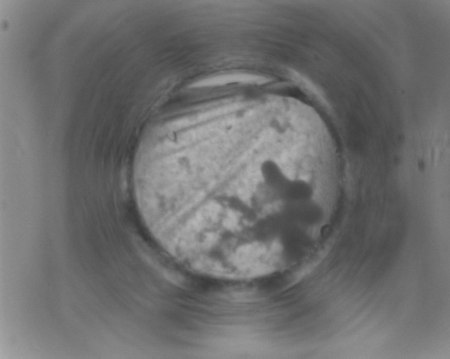 X0000075890065200610151801