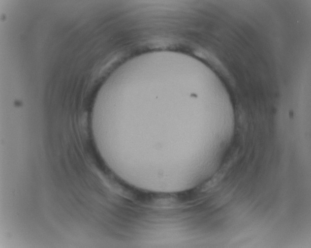 X0000075890066200610151801