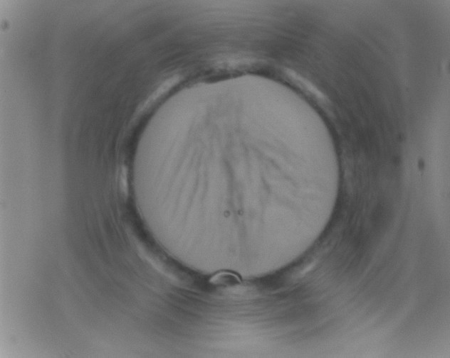 X0000075890067200610151801