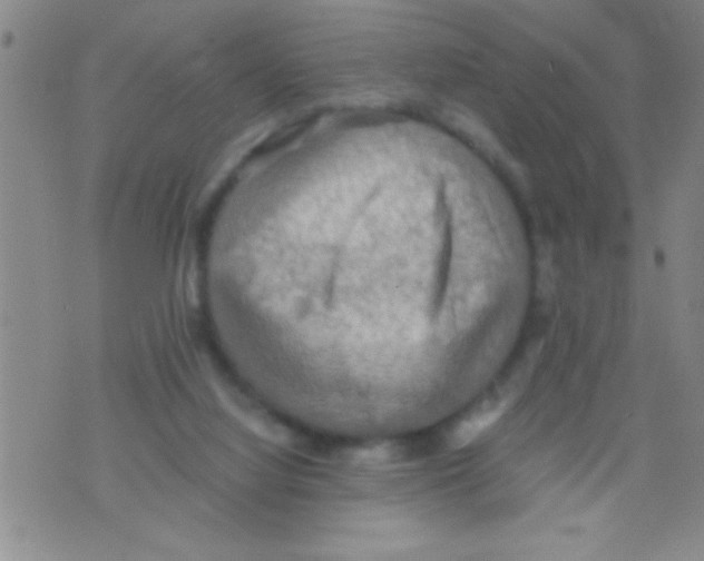 X0000075890068200610151801