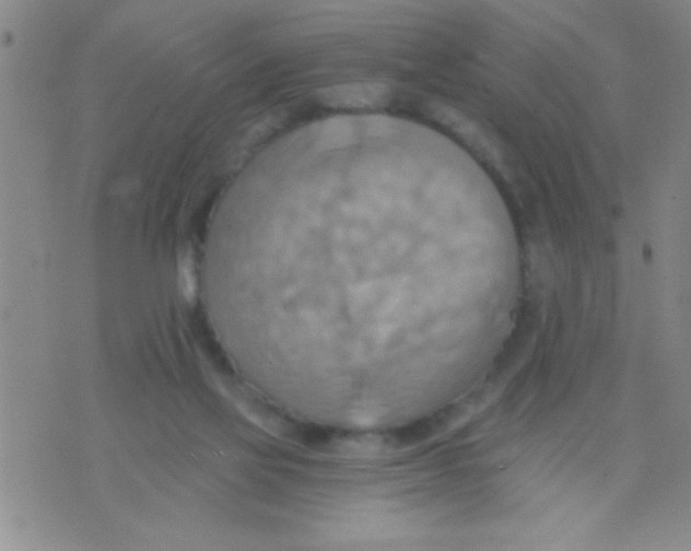 X0000075890069200610151801