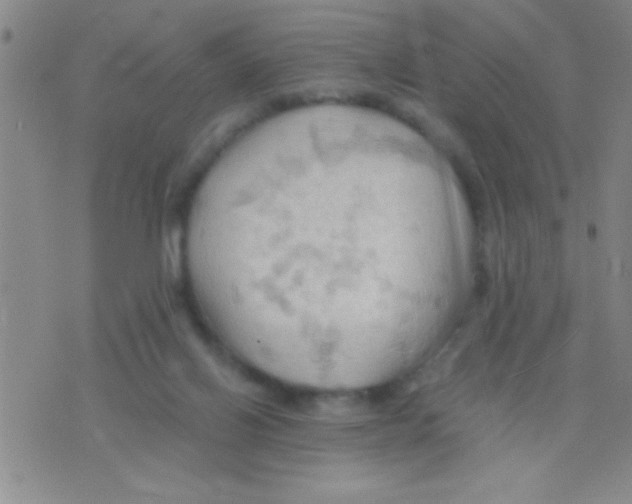 X0000075890070200610151801