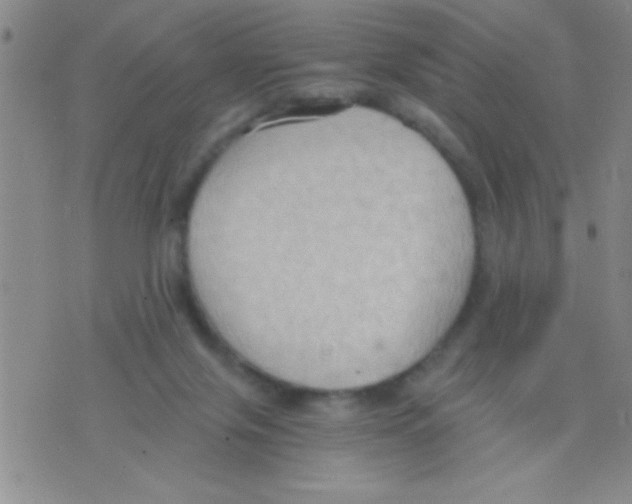 X0000075890071200610151801