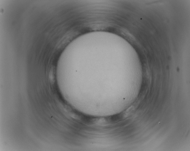 X0000075890074200610151802