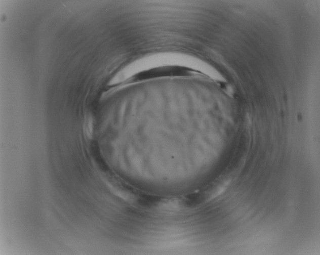 X0000075890076200610151802