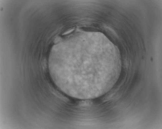 X0000075890077200610151802