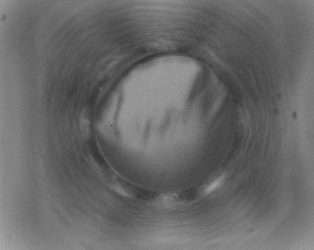 X0000075890080200610151802