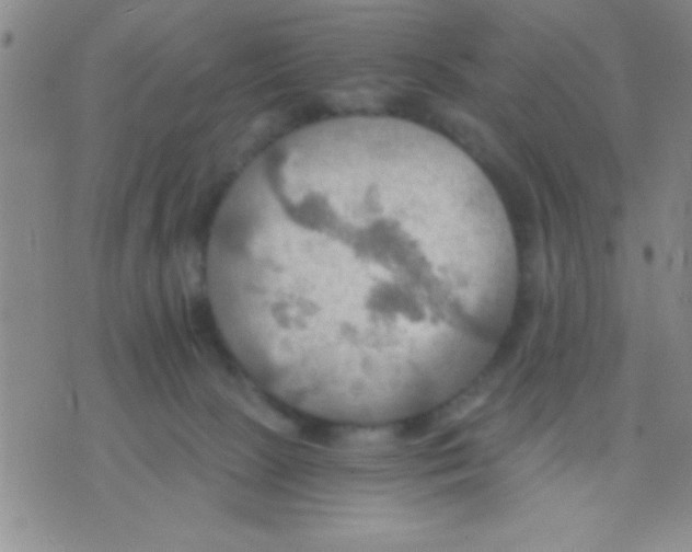 X0000075890081200610151802