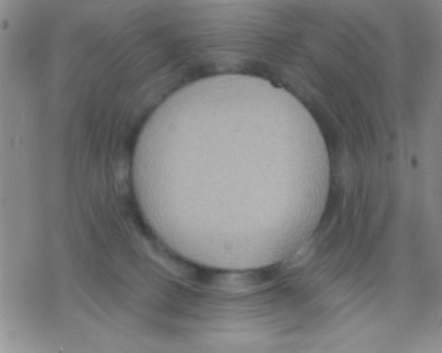 X0000075890082200610151802