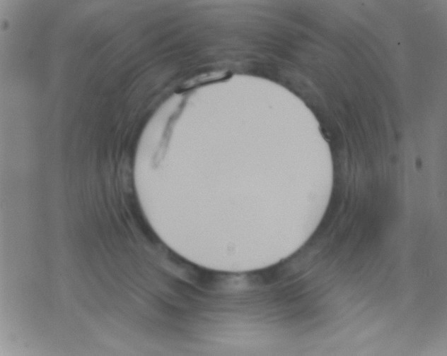 X0000075890083200610151802