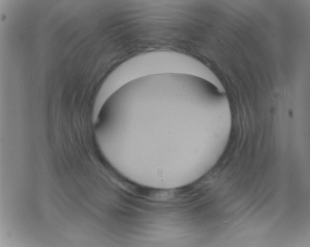 X0000075890084200610151802