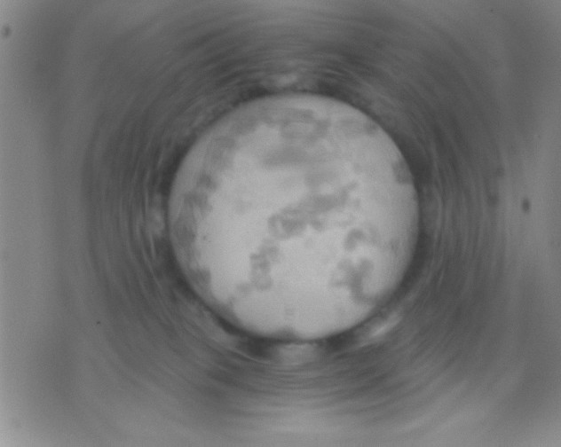 X0000075890085200610151802