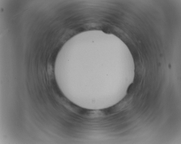 X0000075890087200610151802