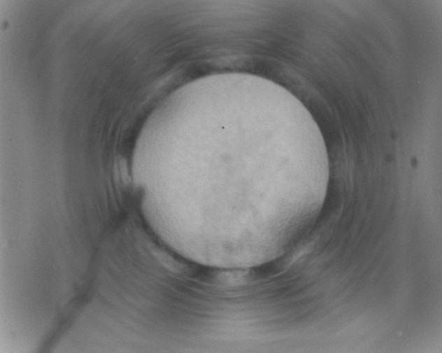 X0000075890089200610151802