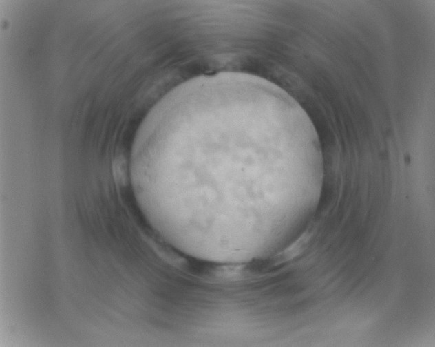 X0000075890090200610151802