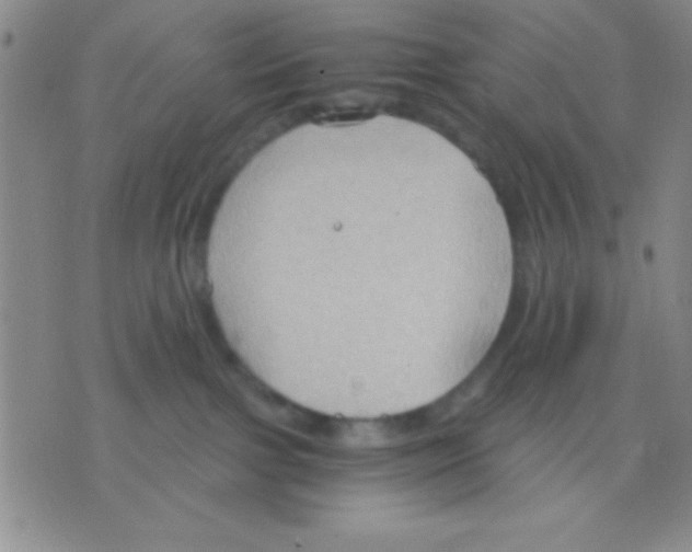 X0000075890091200610151802