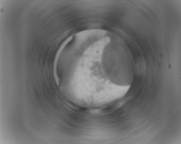 X0000075890093200610151802