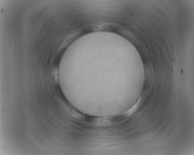 X0000075890094200610151802