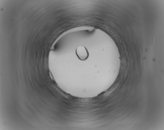 X0000075890096200610151802