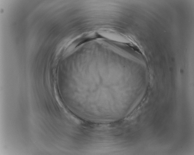 X0000075890097200610151801