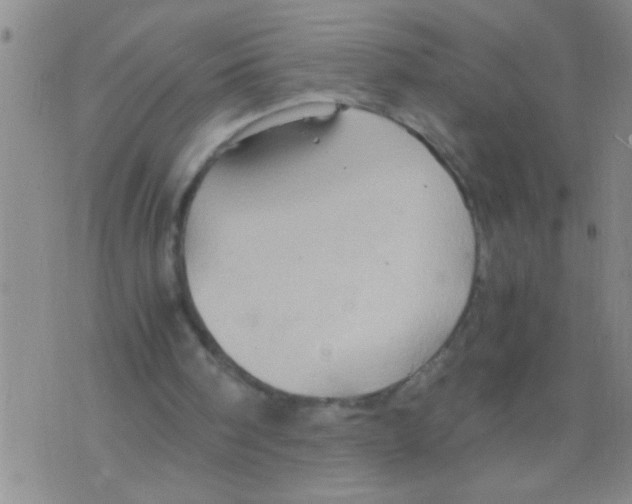 X0000075890098200610151801