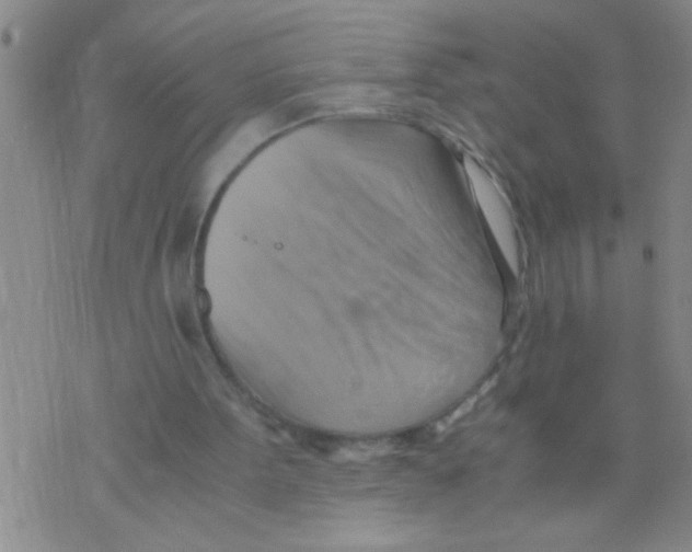 X0000075890099200610151801