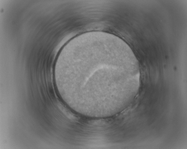 X0000075890100200610151801