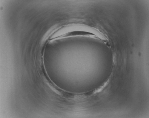 X0000075890101200610151801